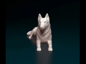Husky dog 3D Print Model