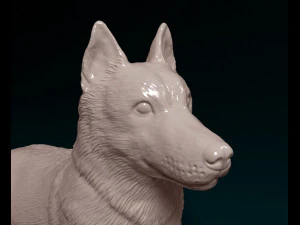 Husky dog 3D Print Model