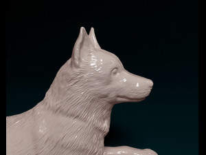 Husky dog 3D Принт Модель