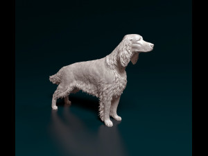 Irish red Setter 3D Print Model