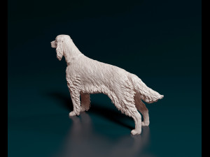 Irish red Setter Model Cetak 3D