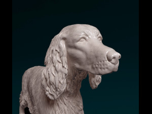 Irish red Setter Model Cetak 3D