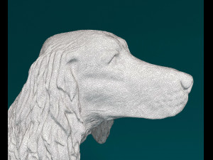 Irish red Setter Model Cetak 3D