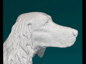 Irish red Setter 3D Print Model