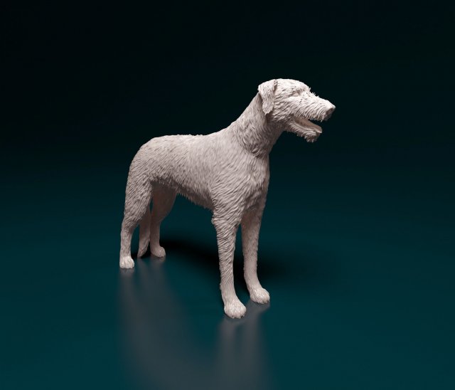 Irish Wolfhound 3D Baskı Modeli .c4d .max .obj .3ds .fbx .stl .blend 