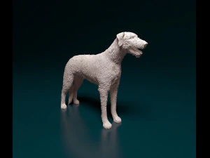 Irischer Wolfshund 3D Druckmodell