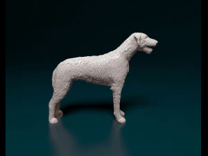 Irischer Wolfshund 3D Druckmodell