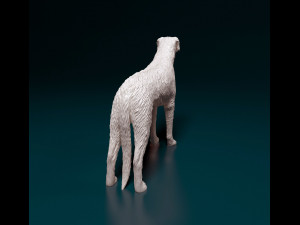 Irish Wolfhound 3D Baskı Modeli