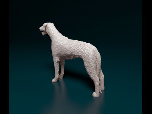 Irish Wolfhound 3D Baskı Modeli