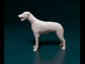 Irish Wolfhound 3D Baskı Modeli