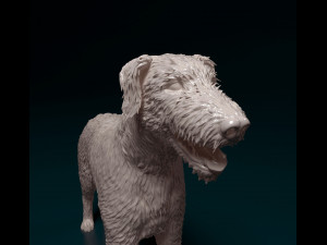Irish Wolfhound 3D Baskı Modeli