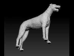 Irish Wolfhound 3D Baskı Modeli