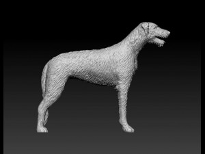 Irish Wolfhound 3D Baskı Modeli