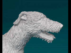 Irish Wolfhound 3D Baskı Modeli
