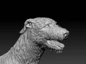 Irischer Wolfshund 3D Druckmodell