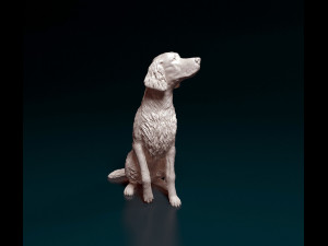 Irish red Setter 3D Print Model
