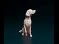 Irish red Setter 3D प्रिंट मॉडल