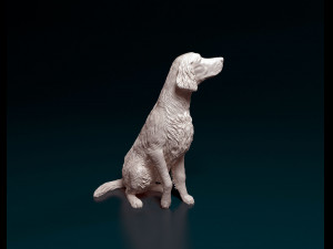Irish red Setter Modelo de Impressão 3D