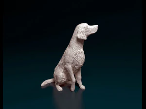 Irish red Setter 3D Print Model