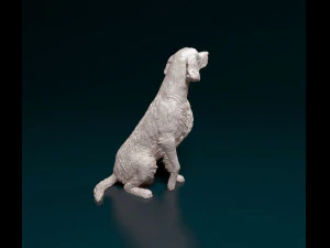 Irish red Setter 3D Print Model