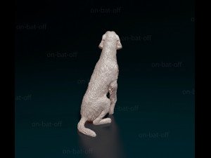 Irish red Setter Modelo de Impressão 3D
