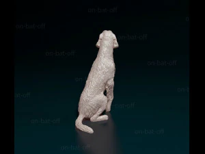 Irish red Setter 3D Print Model