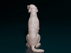 Irish red Setter 3D Print Model