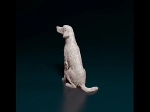Irish red Setter 3D Print Model