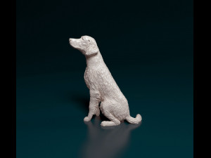 Irish red Setter Modelo de Impressão 3D
