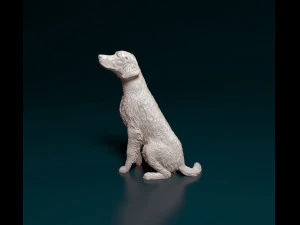 Irish red Setter 3D Print Model