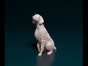 Irish red Setter Modelo de Impressão 3D