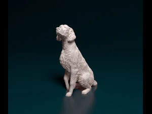 Irish red Setter 3D Print Model