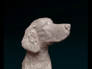 Irish red Setter 3D Print Model