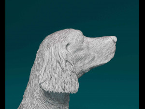 Irish red Setter Modelo de Impressão 3D