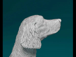 Irish red Setter 3D Print Model