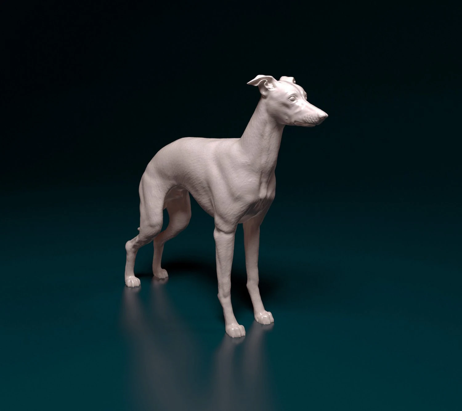 Italian Greyhound dog 3D Print Model .c4d .max .obj .3ds .fbx .stl .blend 