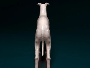 Italian Greyhound dog 3D Print Model