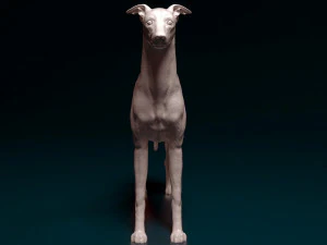 Italian Greyhound dog 3D Print Model
