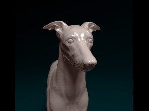 Italian Greyhound dog 3D Print Model