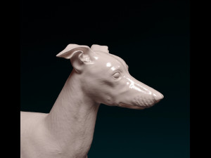 Italian Greyhound dog 3D Print Model