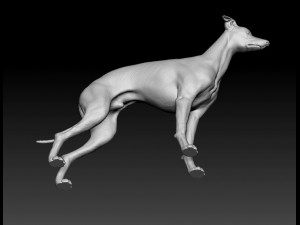 Italian Greyhound dog 3D Print Model