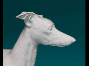 Italian Greyhound dog 3D Print Model