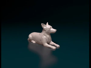 Jack Russell cross 3D Print Model