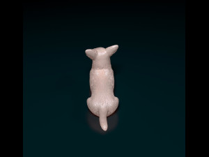 Jack Russell cross Modello di stampa 3D