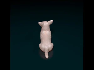 Jack Russell cross 3D Print Model