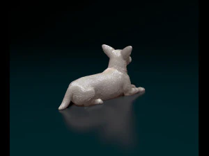 Jack Russell cross 3D Print Model