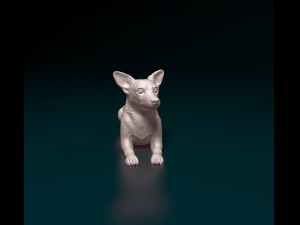 Jack Russell cross Modello di stampa 3D