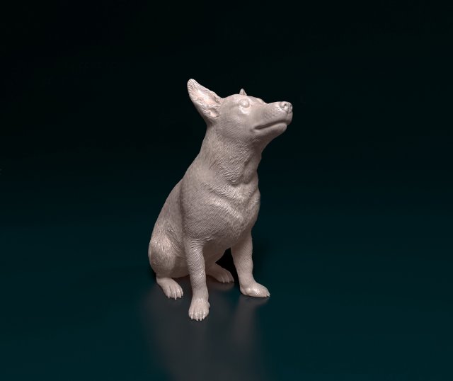 Jack Russell short-legged Modello di stampa 3D .c4d .max .obj .3ds .fbx .stl .blend 