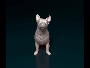 Jack Russell short-legged 3D Print Model