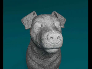 Jack Russell short-legged 3D Print Model
